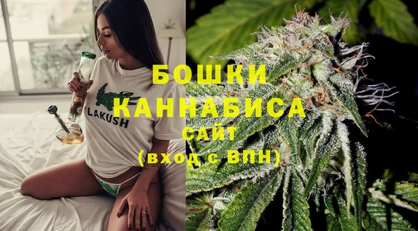 дживик Новозыбков