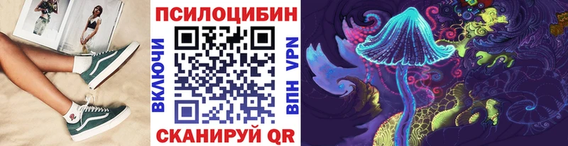 Псилоцибиновые грибы Psilocybine cubensis  даркнет наркотические препараты  Свирск  ссылка на мегу вход 