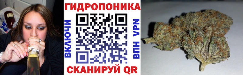 где купить   Свирск  Бошки марихуана семена 
